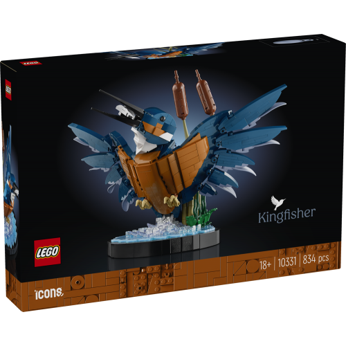 Kingfisher Bird