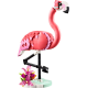 Wild Animals: Pink Flamingo