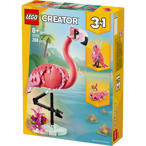 Wild Animals: Pink Flamingo