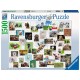 Ravensburger - Funny...
