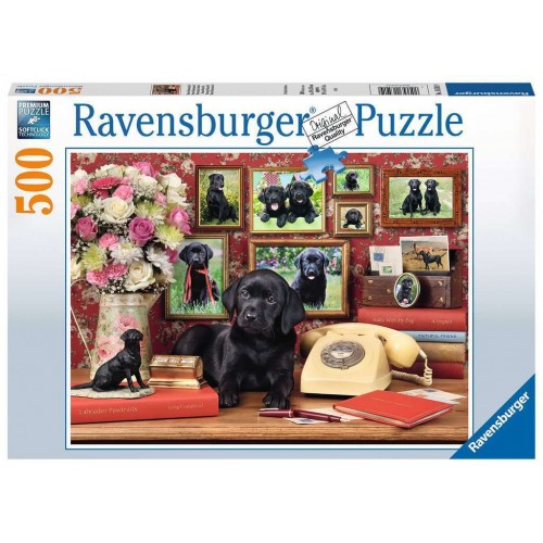 Ravensburger -  My Loyal...