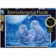Owls in Moonlight -...